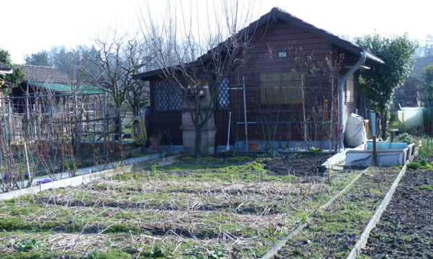 10 ans déjà / 10 years already !